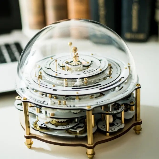 olenoides Stellar Movements mechanical model